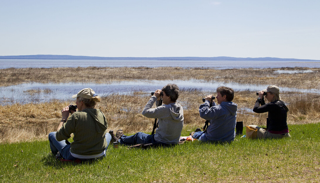 7 Enchanting Places to Go Bird Watching in Ontario Northern Ontario